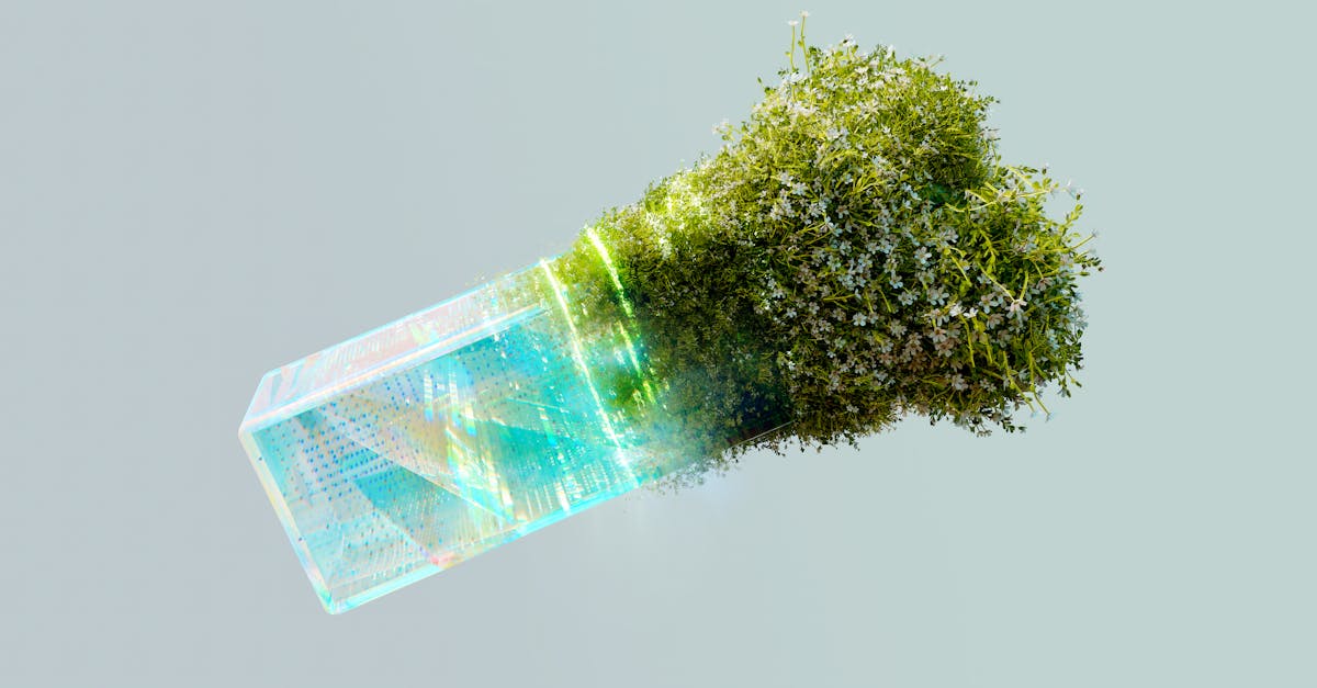 découvrez comment la transformation digitale révolutionne les entreprises en intégrant les technologies numériques pour améliorer l'efficacité, l'innovation et l'expérience client. apprenez les meilleures pratiques et stratégies pour réussir votre transformation digitale.