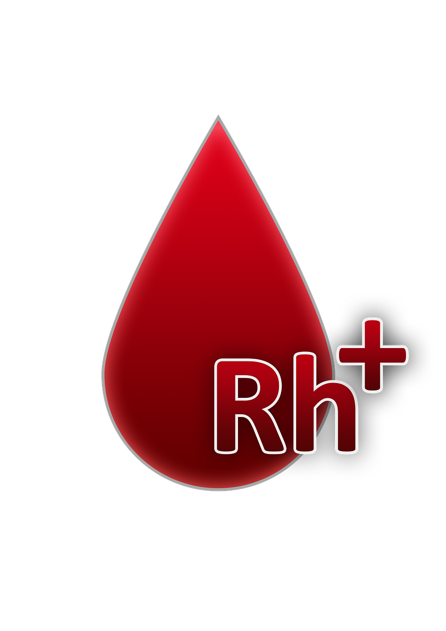 découvrez les différents facteurs de forme des gpu, leurs spécificités et comment choisir celui adapté à votre configuration pc pour des performances optimales.