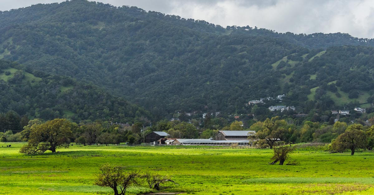 découvrez comment le télé-marketing durable transforme la communication client, alliant efficacité commerciale et responsabilité écologique. explorez des stratégies respectueuses de l'environnement tout en augmentant votre impact.