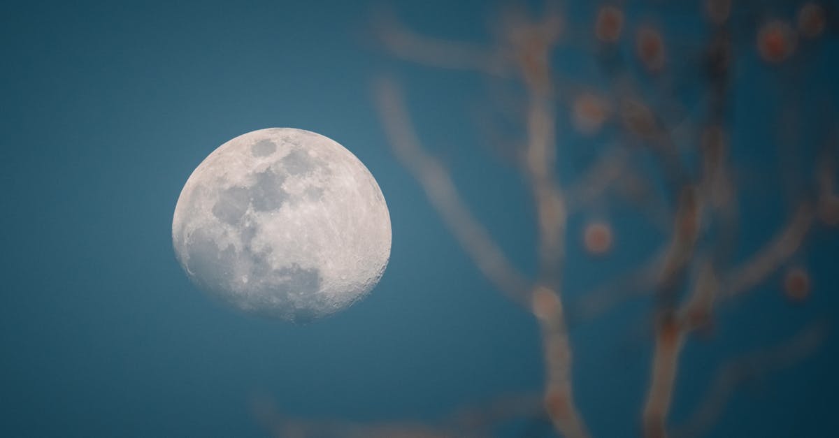 découvrez comment surmonter les objections dans vos conversations et négociations. apprenez des techniques efficaces pour persuader et convaincre, transformant les résistances en opportunités. améliorez vos compétences en communication et boostez vos succès.