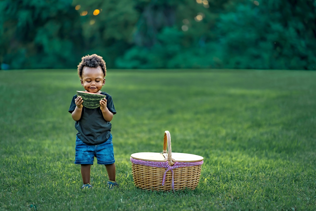 Tout sur les nouveautés de Loknoz : qualité et diversité au rendez-vous !