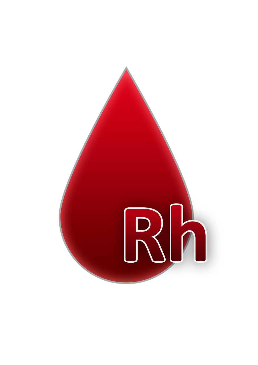 Form factor GPU : comprendre l’impact du format sur la compatibilité et la performance